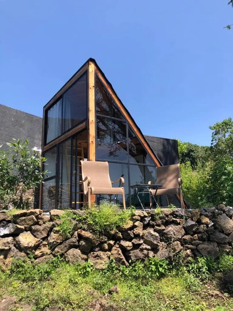 000004B Bosque Geometrico.webp